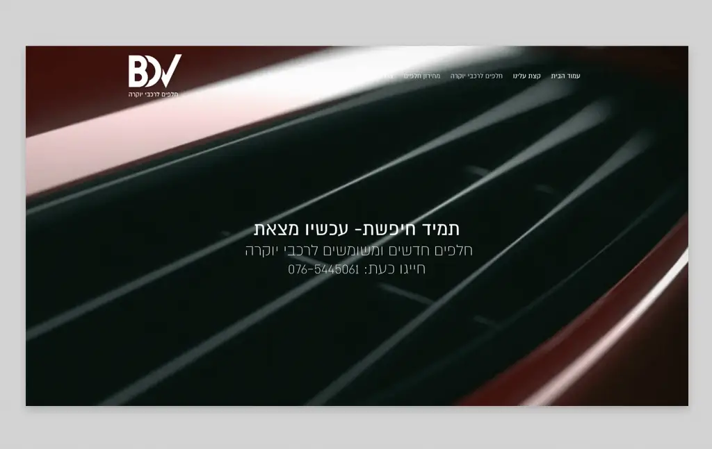 עיצוב ובניית אתר לbdv
