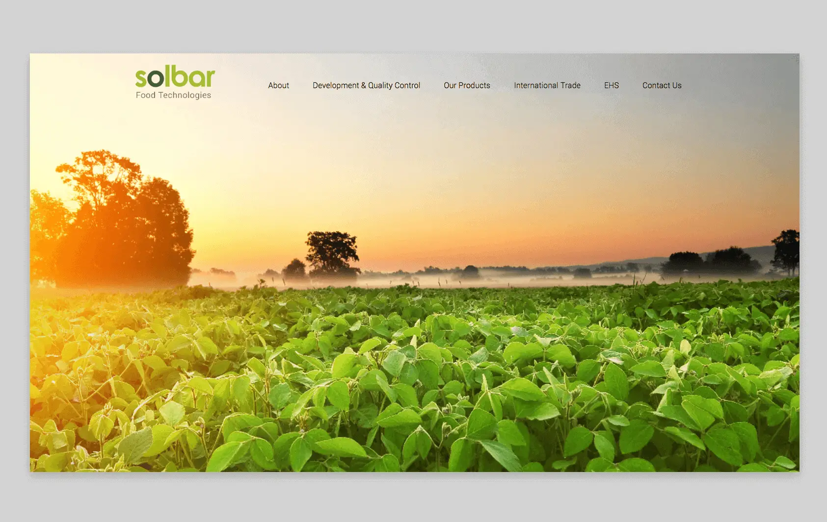 מה הקשר בין בניית אתר לקידום שלו?